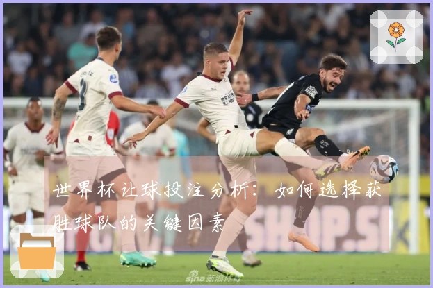 世界杯让球投注分析：如何选择获胜球队的关键因素