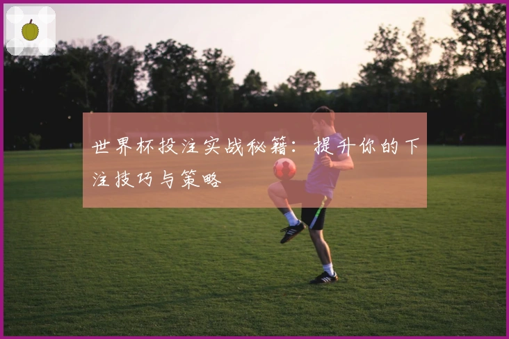 世界杯投注实战秘籍：提升你的下注技巧与策略