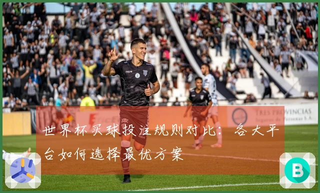 世界杯买球投注规则对比：各大平台如何选择最优方案