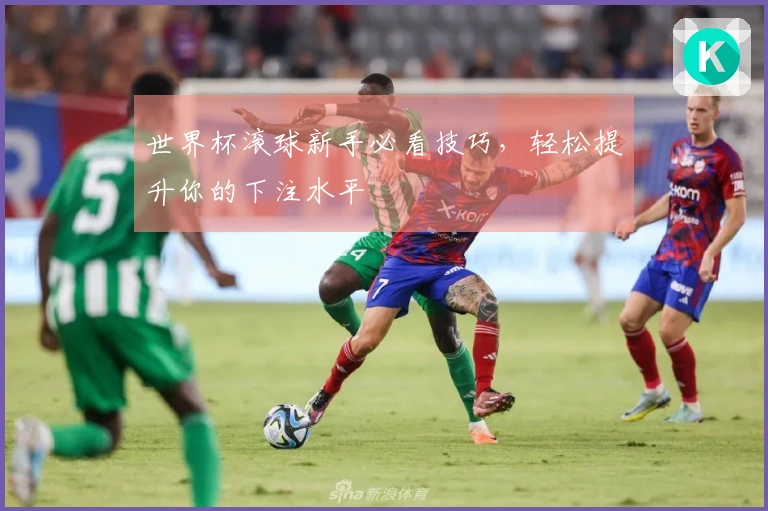 世界杯滚球新手必看技巧，轻松提升你的下注水平