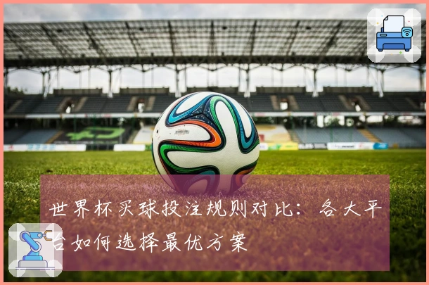 世界杯买球投注规则对比：各大平台如何选择最优方案