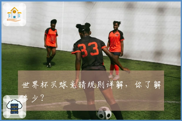 世界杯买球竞猜规则详解，你了解多少？