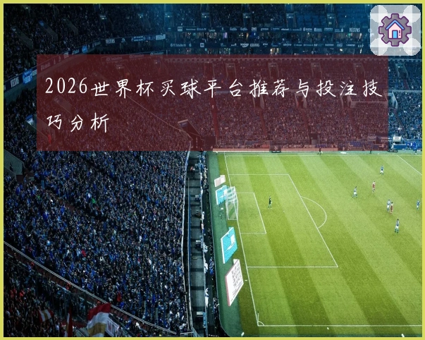 2026世界杯买球平台推荐与投注技巧分析
