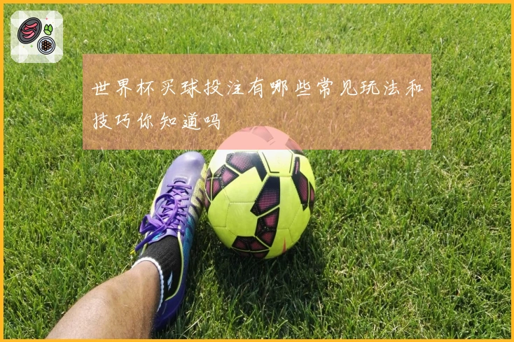世界杯买球投注有哪些常见玩法和技巧你知道吗