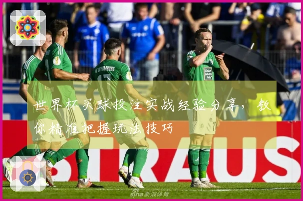 世界杯买球投注实战经验分享，教你精准把握玩法技巧