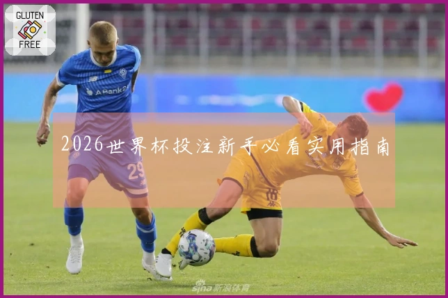 2026世界杯投注新手必看实用指南