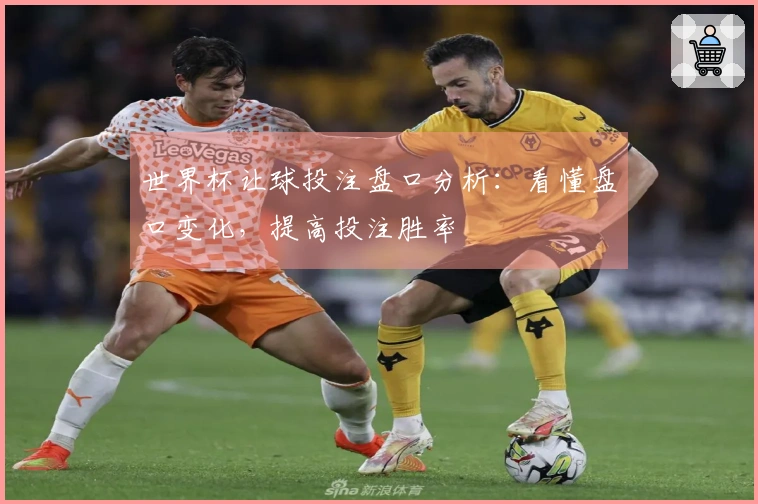 世界杯让球投注盘口分析：看懂盘口变化，提高投注胜率