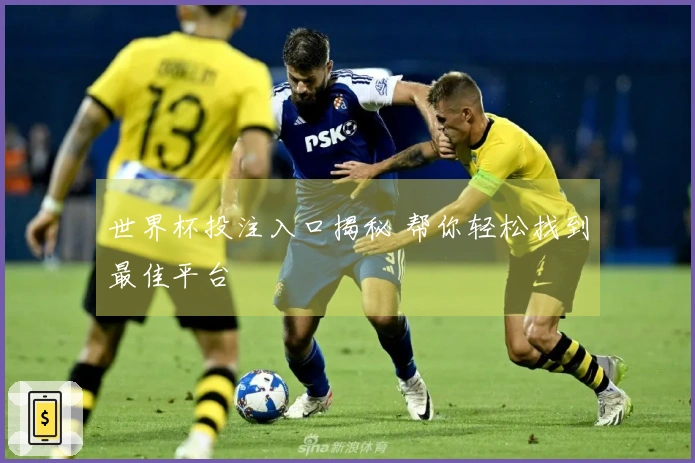 世界杯投注入口揭秘 帮你轻松找到最佳平台